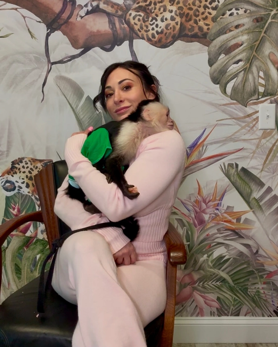 are capuchin monkeys aggressive